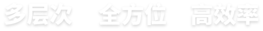 多层次全方案高效率一站式数字化解决方案